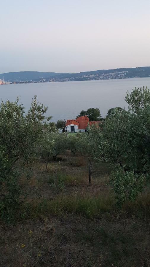 Sea View Apartments Debeli Rtic Ankaran Εξωτερικό φωτογραφία